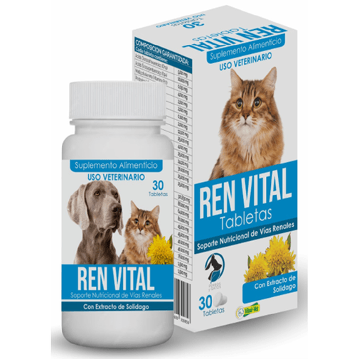 Proyecto nuevo - 2026-02-11T153105.193